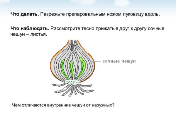 Официальный сайт даркнета