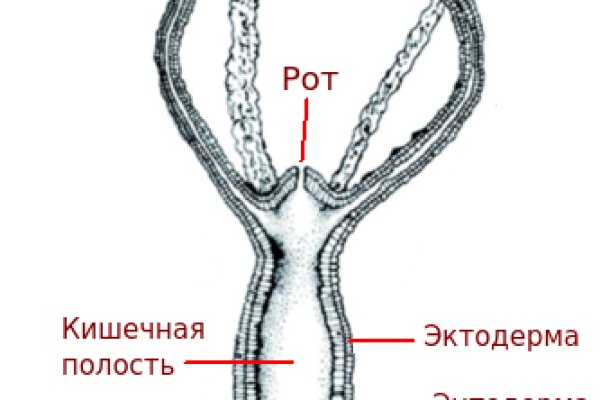 Кракен торговая kr2web in