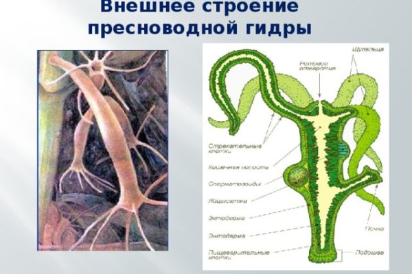 Кракен сайт ссылка