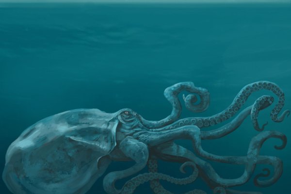 Kraken19at