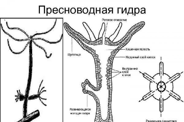 Kraken 4 ссылка