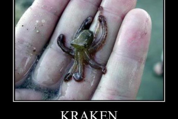 Kraken com